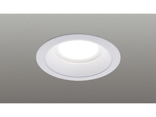 LEDライト LEDD-21011FN-LS9