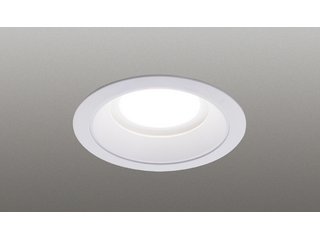 LEDライト LEDD-21017N-LD9