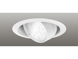 LEDライト LEDD-30102W-LD9