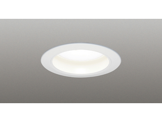 LEDライト LEDD85021-LS