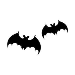 管の中の流体の流れを超音波で見たい!